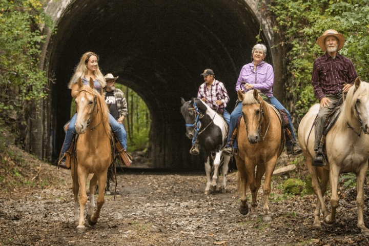 a group of people riding on the back of a horse